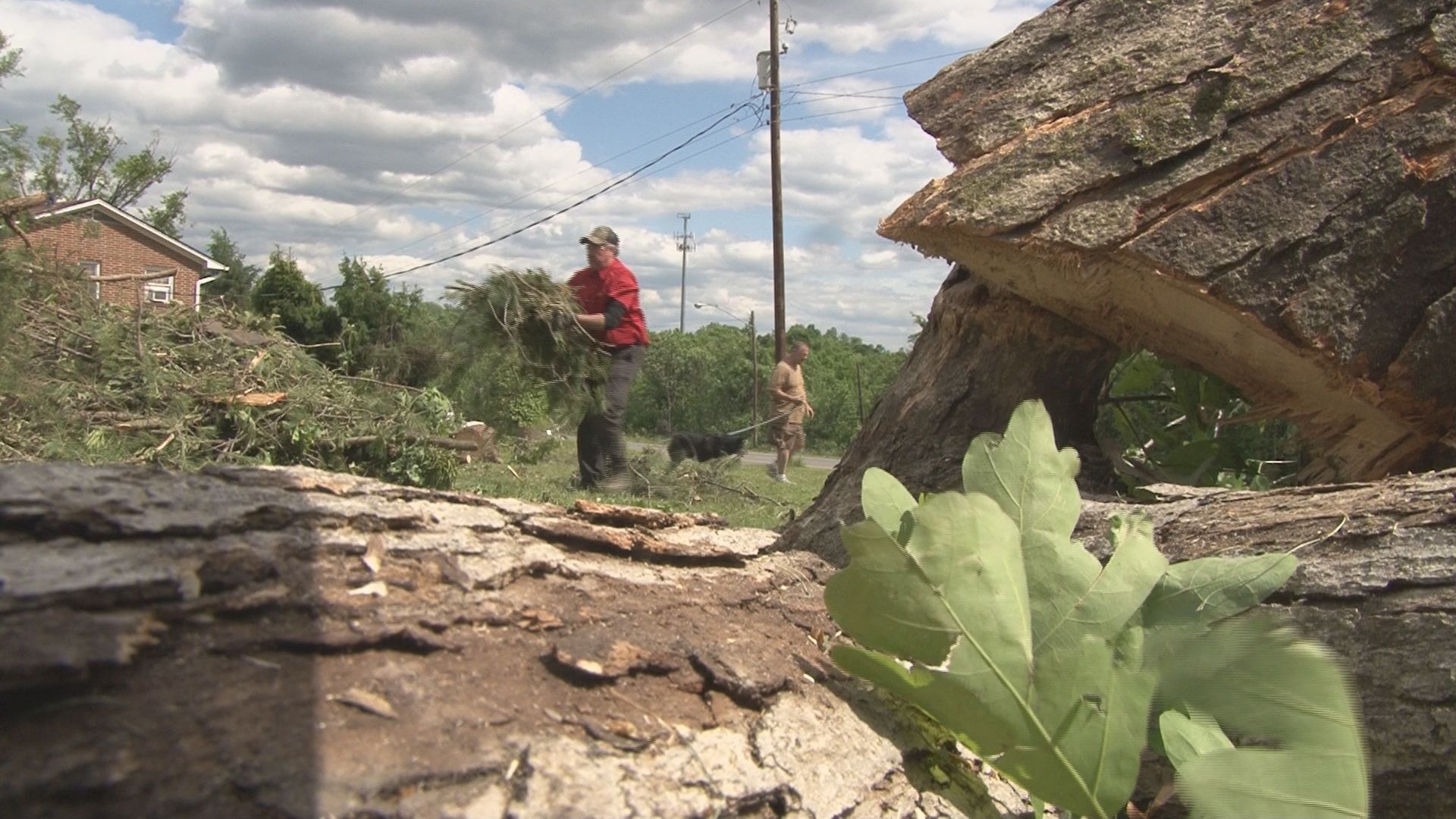 Neighbors Help Clean Tornado Damage in Eden